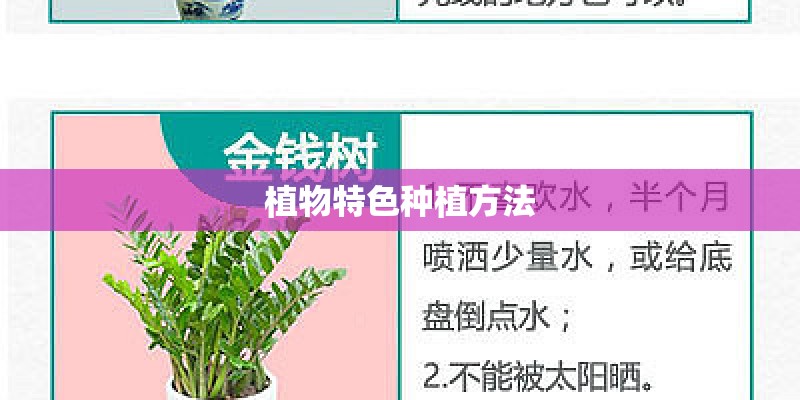 植物特色种植方法