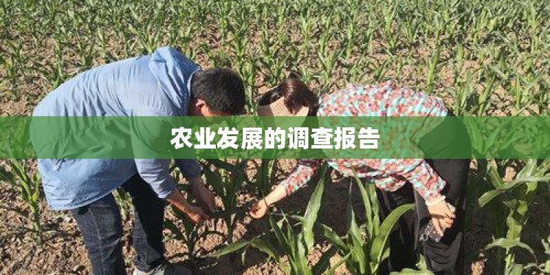 农业发展的调查报告