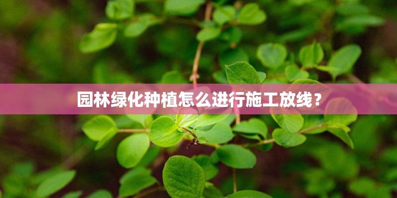 园林绿化种植怎么进行施工放线？