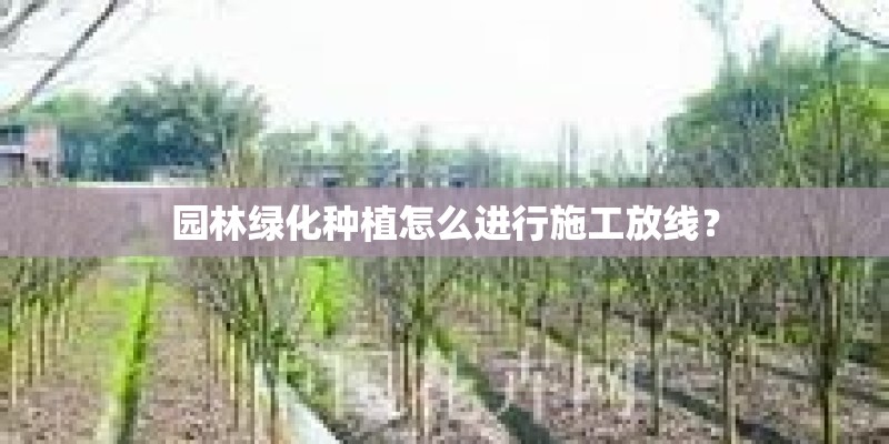 园林绿化种植怎么进行施工放线？
