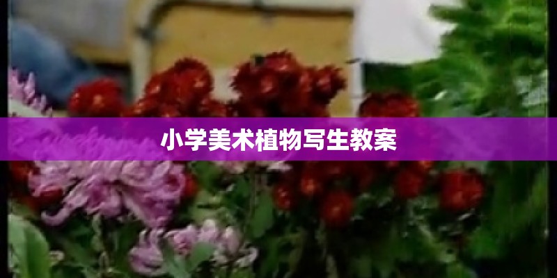小学美术植物写生教案