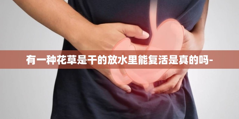 有一种花草是干的放水里能复活是真的吗-