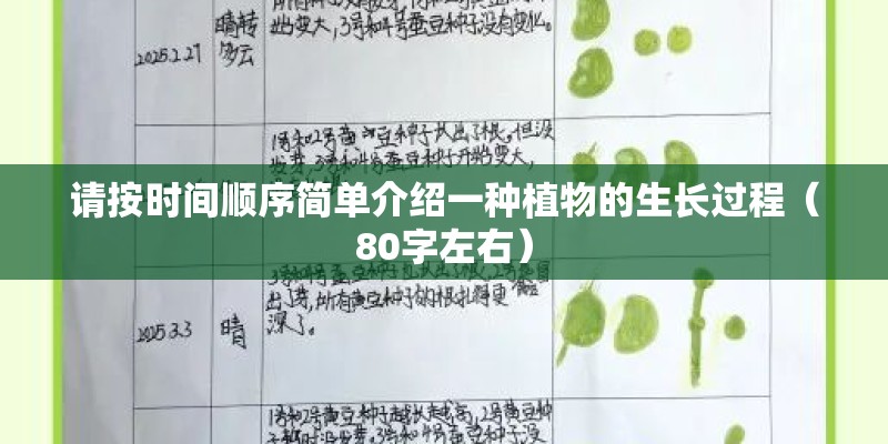 请按时间顺序简单介绍一种植物的生长过程（80字左右）
