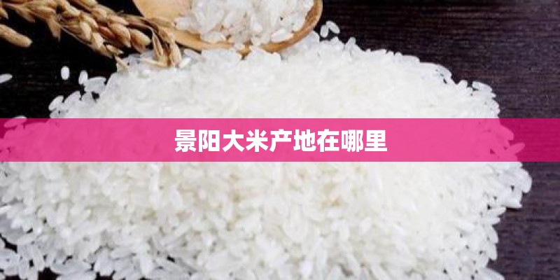 景阳大米产地在哪里