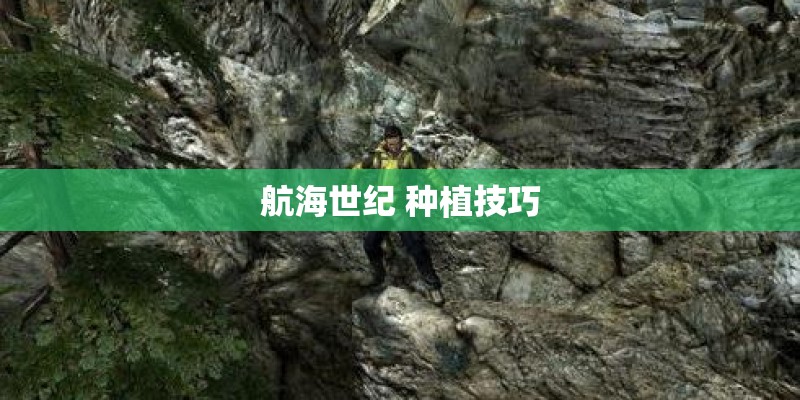 航海世纪 种植技巧