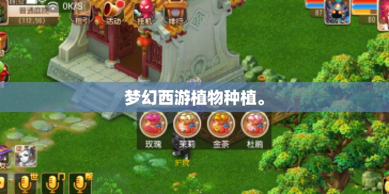梦幻西游植物种植。