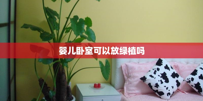 婴儿卧室可以放绿植吗