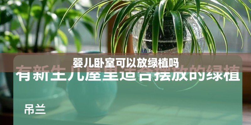 婴儿卧室可以放绿植吗