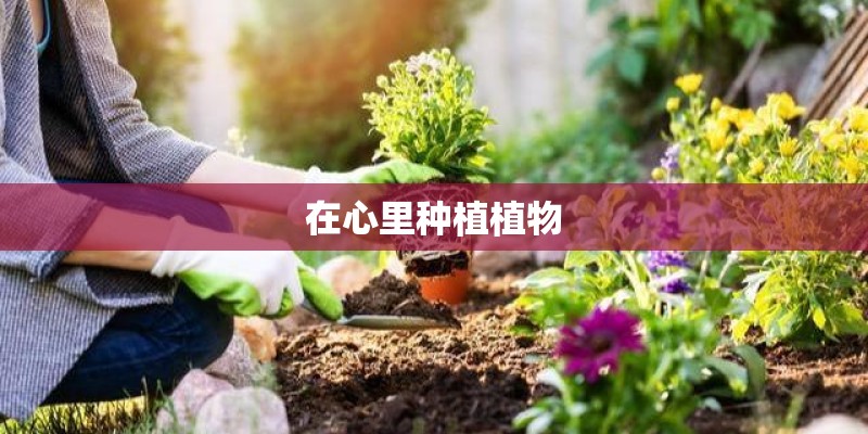 在心里种植植物