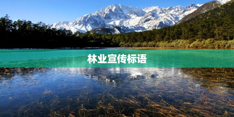 林业宣传标语