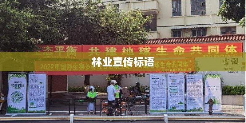 林业宣传标语