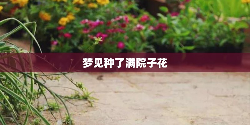 梦见种了满院子花