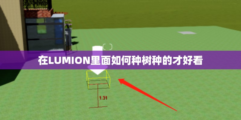 在LUMION里面如何种树种的才好看