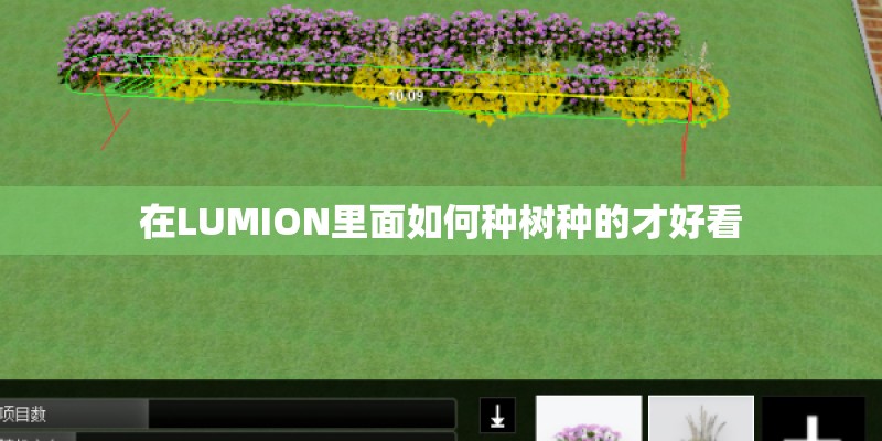 在LUMION里面如何种树种的才好看