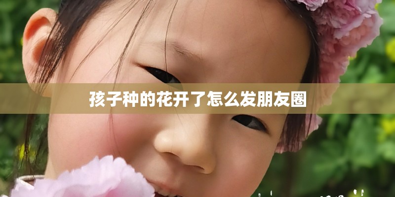 孩子种的花开了怎么发朋友圈