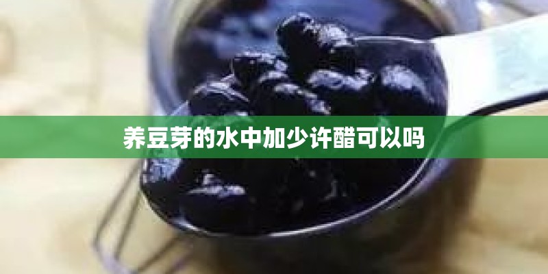 养豆芽的水中加少许醋可以吗
