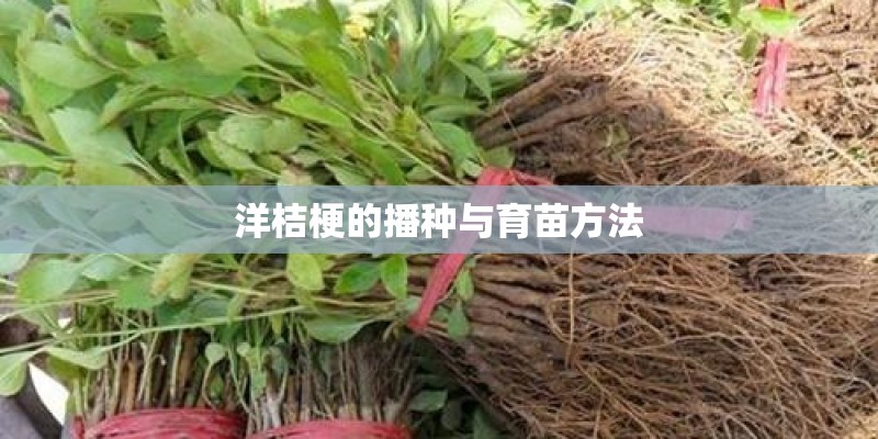 洋桔梗的播种与育苗方法