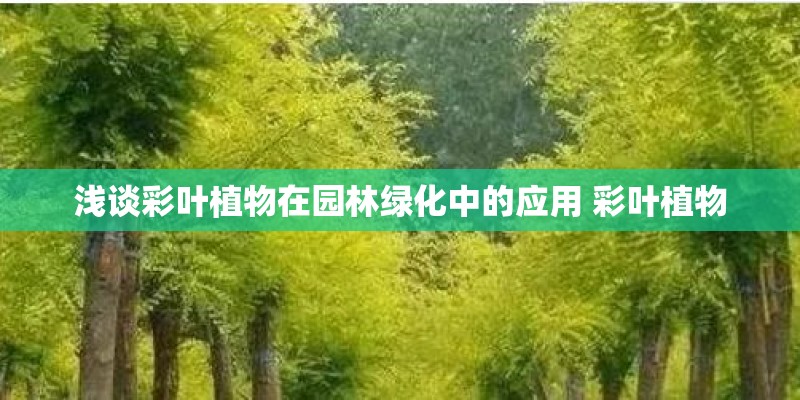浅谈彩叶植物在园林绿化中的应用 彩叶植物