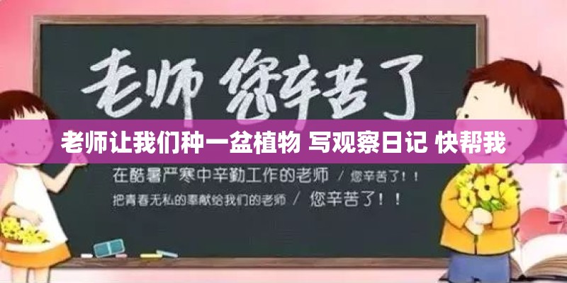老师让我们种一盆植物 写观察日记 快帮我