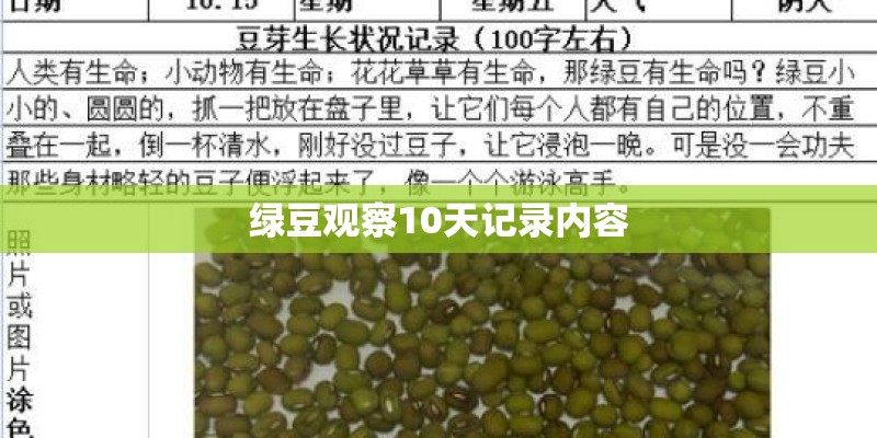 绿豆观察10天记录内容