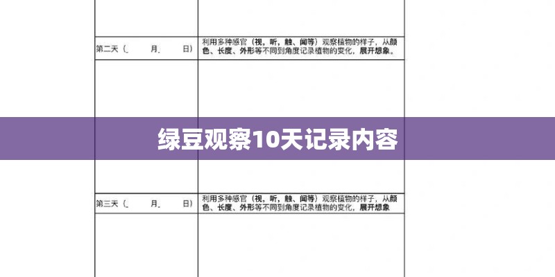 绿豆观察10天记录内容