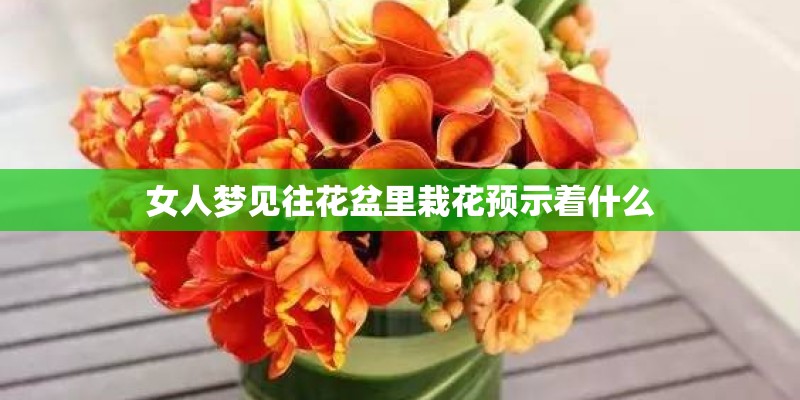 女人梦见往花盆里栽花预示着什么