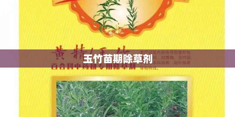 玉竹苗期除草剂