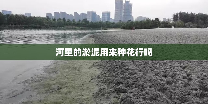 河里的淤泥用来种花行吗