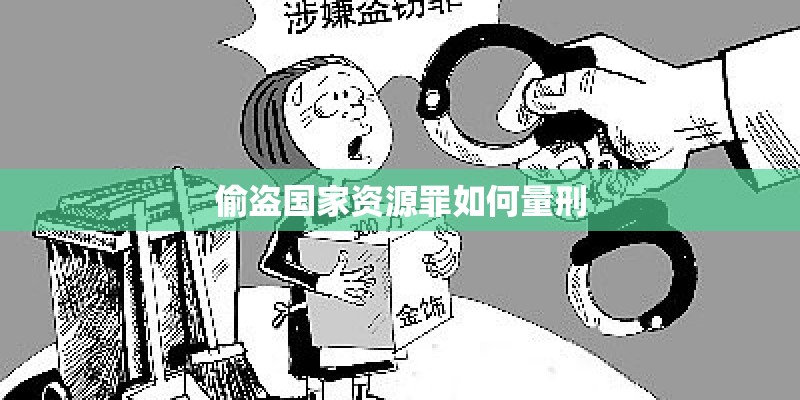 偷盗国家资源罪如何量刑