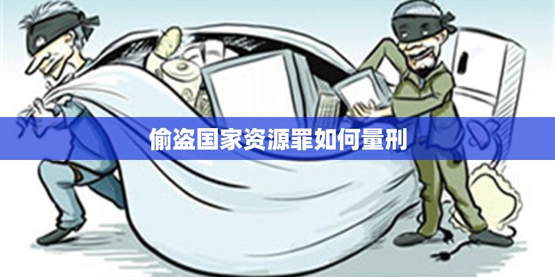 偷盗国家资源罪如何量刑