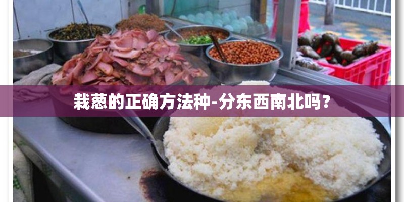 栽葱的正确方法种-分东西南北吗？