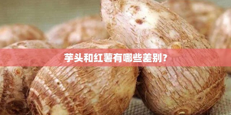 芋头和红薯有哪些差别？