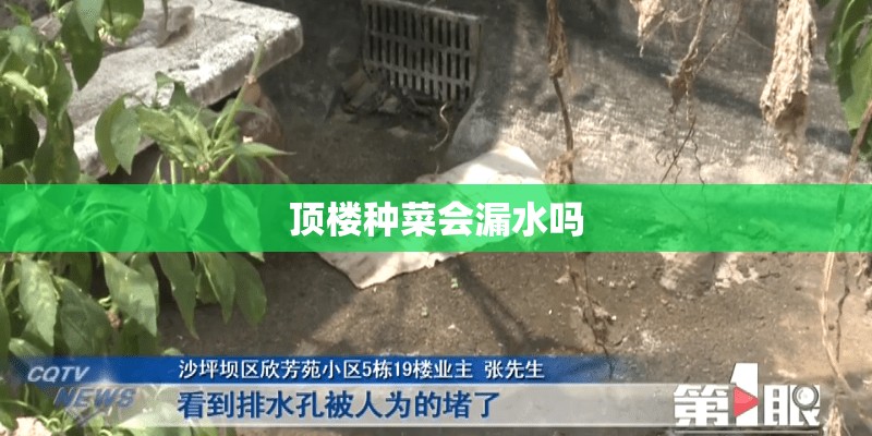 顶楼种菜会漏水吗