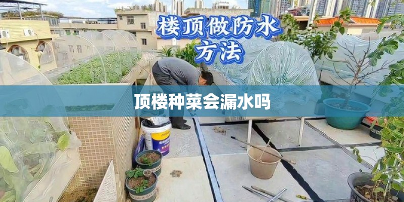 顶楼种菜会漏水吗
