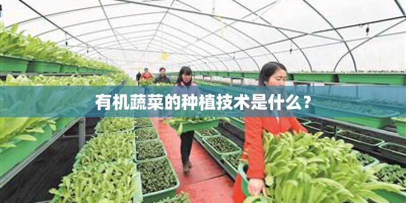 有机蔬菜的种植技术是什么？