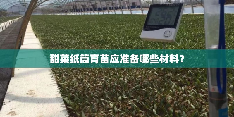 甜菜纸筒育苗应准备哪些材料？