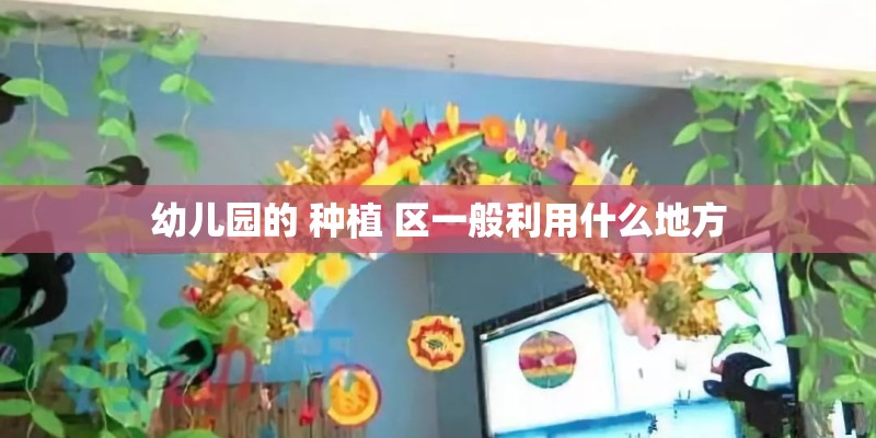 幼儿园的 种植 区一般利用什么地方