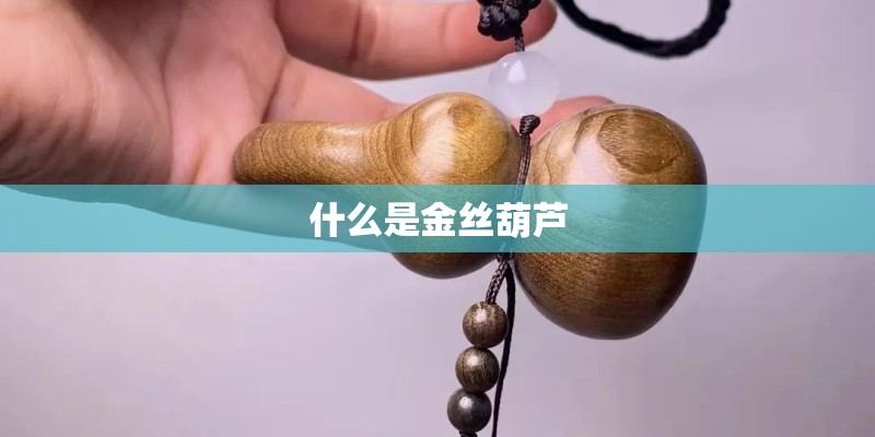 什么是金丝葫芦