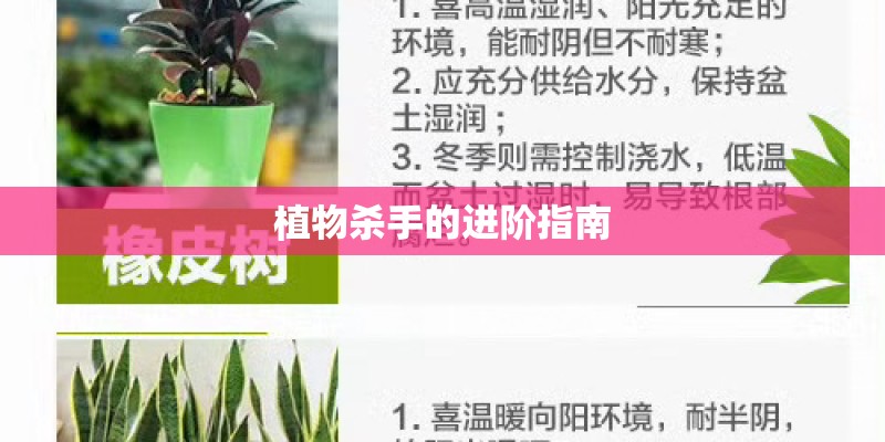 植物杀手的进阶指南