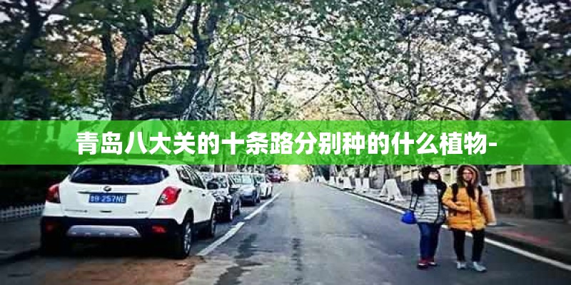 青岛八大关的十条路分别种的什么植物-