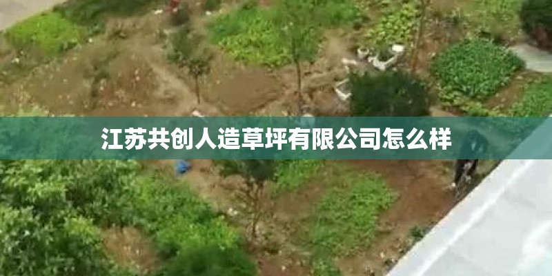 江苏共创人造草坪有限公司怎么样