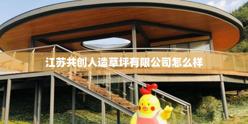 江苏共创人造草坪有限公司怎么样