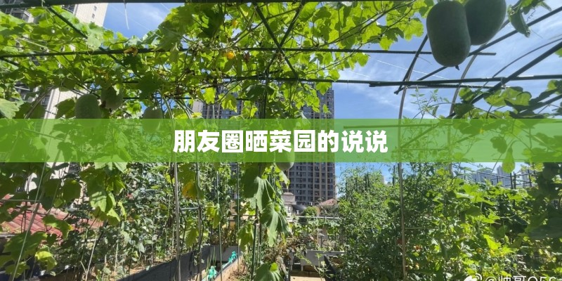 朋友圈晒菜园的说说