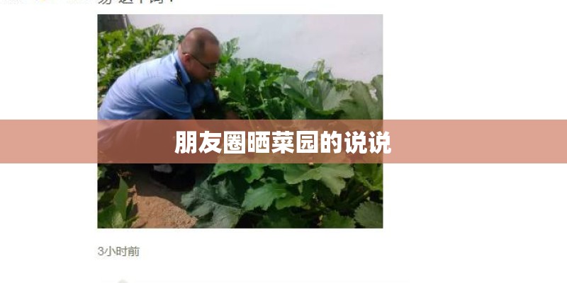 朋友圈晒菜园的说说