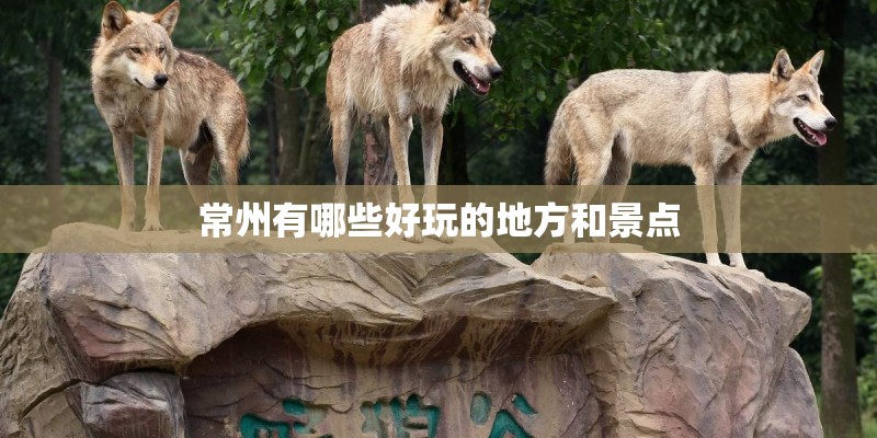 常州有哪些好玩的地方和景点
