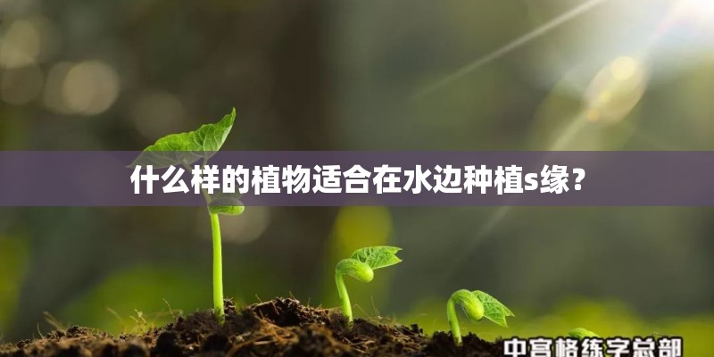 什么样的植物适合在水边种植s缘？
