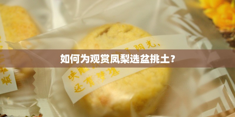 如何为观赏凤梨选盆挑土？
