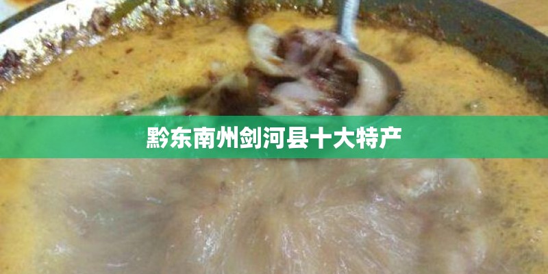 黔东南州剑河县十大特产