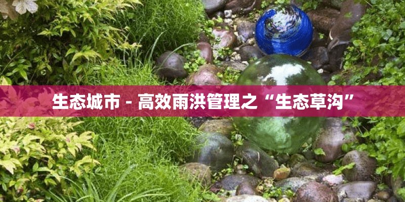 生态城市 - 高效雨洪管理之“生态草沟”