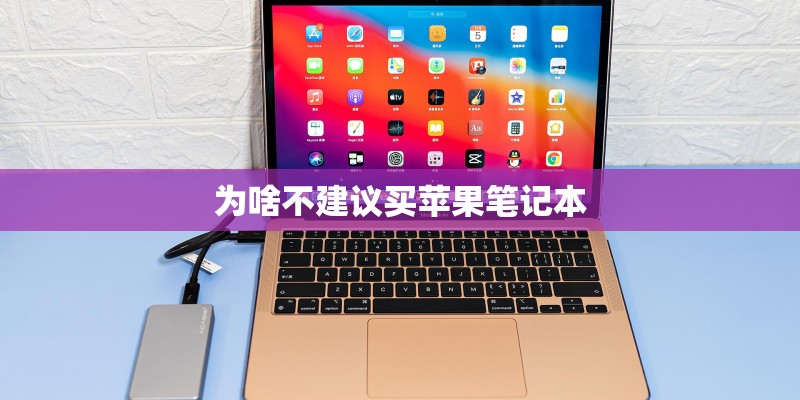 为啥不建议买苹果笔记本
